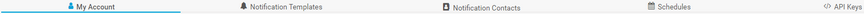 Account Settings Tabs